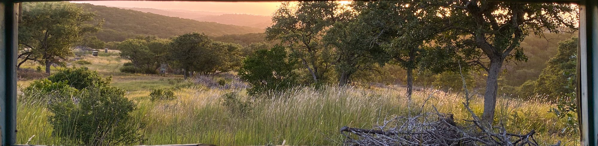 Golden-hour vista across the ranch